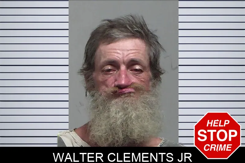 Walter Clements Jr mugshot
