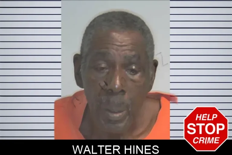 Walter Hines mugshot – Berrien County , Georgia Walter Hines