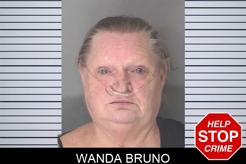 Wanda Bruno mugshot