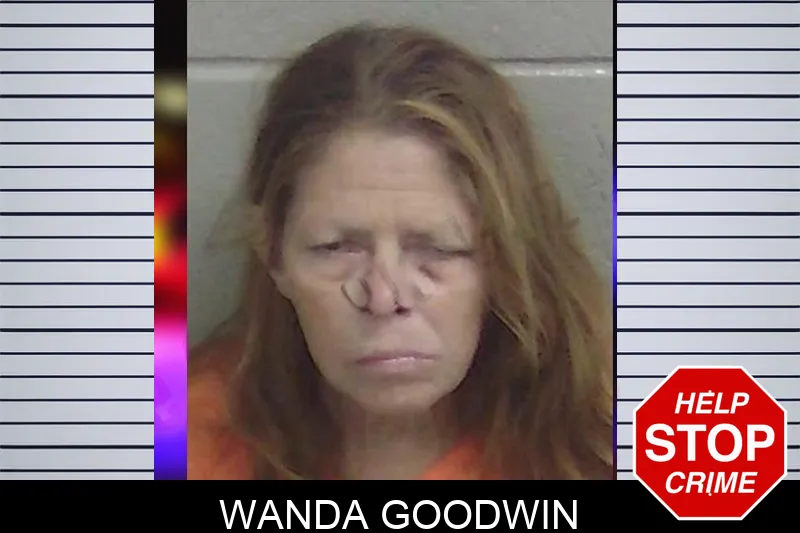 Wanda Goodwin mugshot