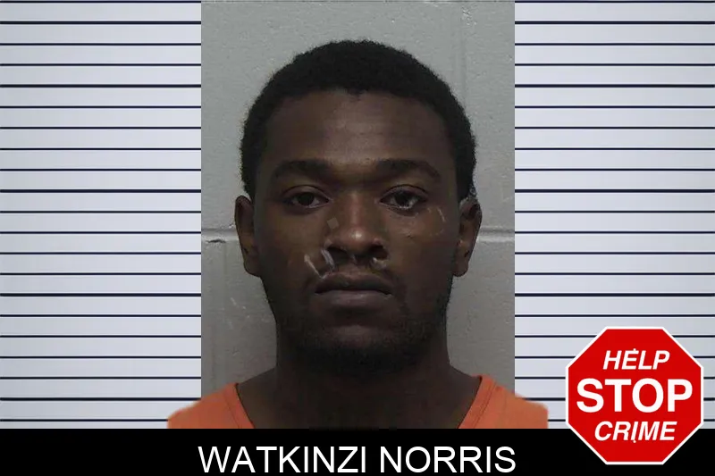 Watkinzi Norris mugshot – Laurens County , Georgia Watkinzi Norris mugshot