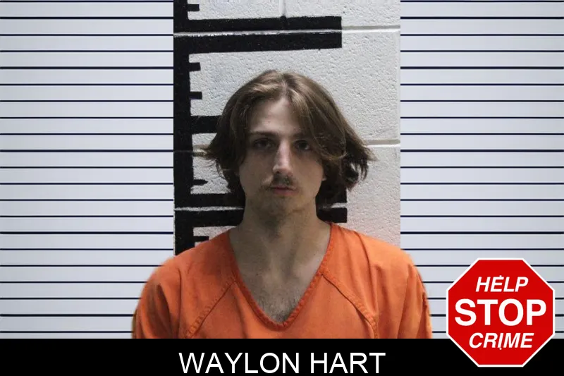 Waylon Hart mugshot – Murray County , Georgia Waylon Hart mugshot