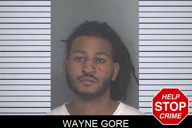 Wayne Gore mugshot – Douglas County , Georgia Wayne Gore mugshot