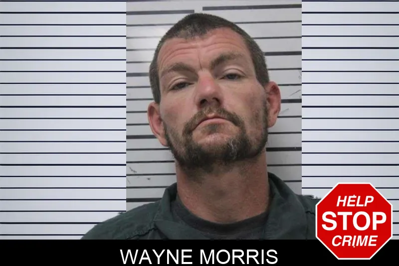 Wayne Morris mugshot