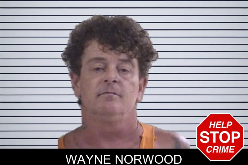 Wayne Norwood mugshot – Whitfield County , Georgia Wayne Norwood mugshot