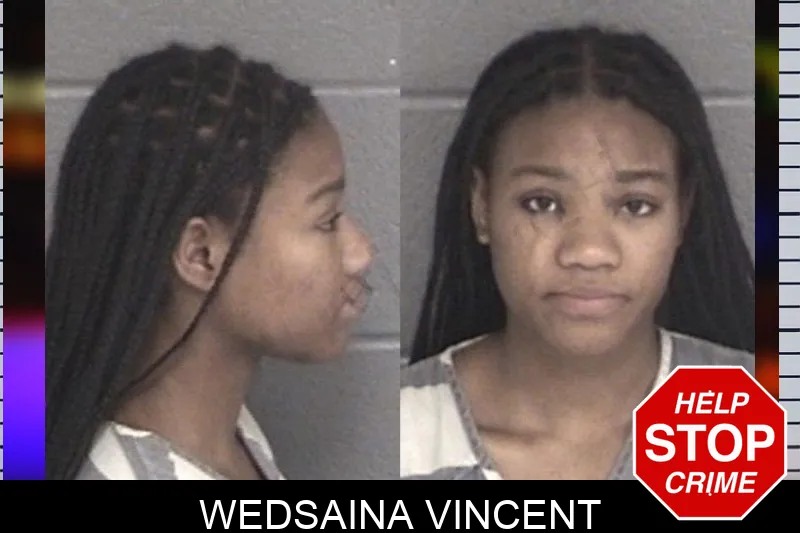 Wedsaina Vincent mugshot