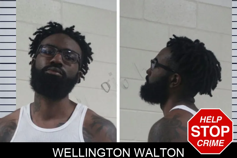 Wellington Walton mugshot