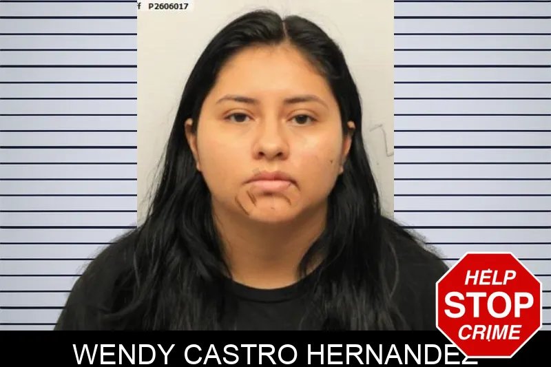 Wendy Castro Hernandez mugshot – Chatham County , Georgia Wendy Castro Hernandez mugshot