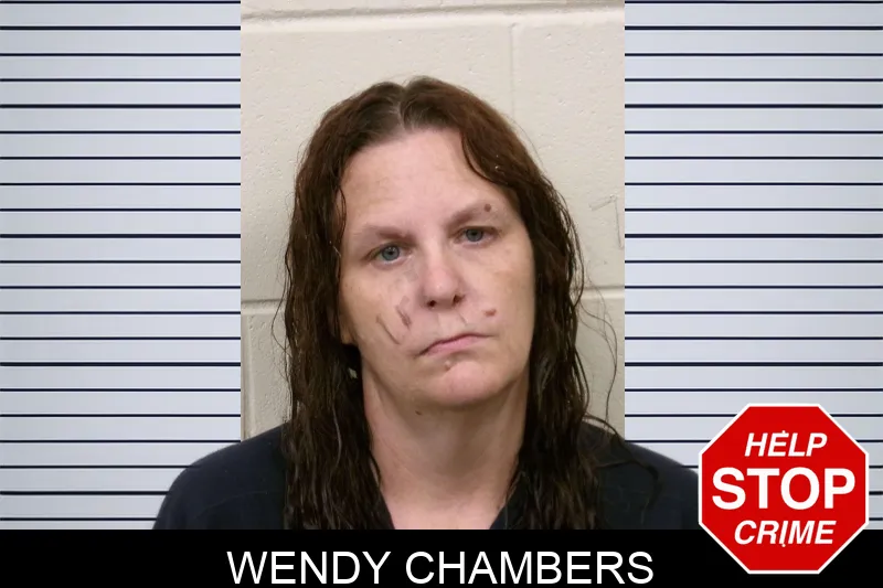 Wendy Chambers mugshot