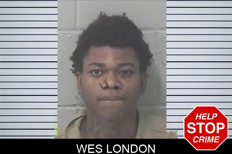 Wes London mugshot