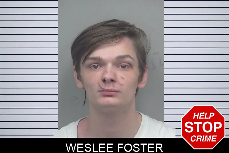 Weslee Foster mugshot