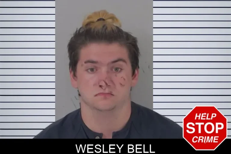 Wesley Bell mugshot – Lanier County , Georgia Wesley Bell