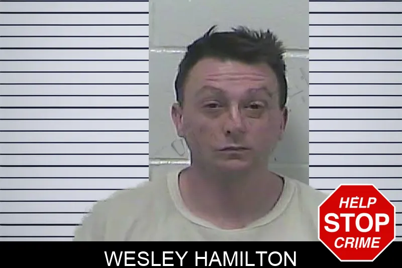 Wesley Hamilton mugshot