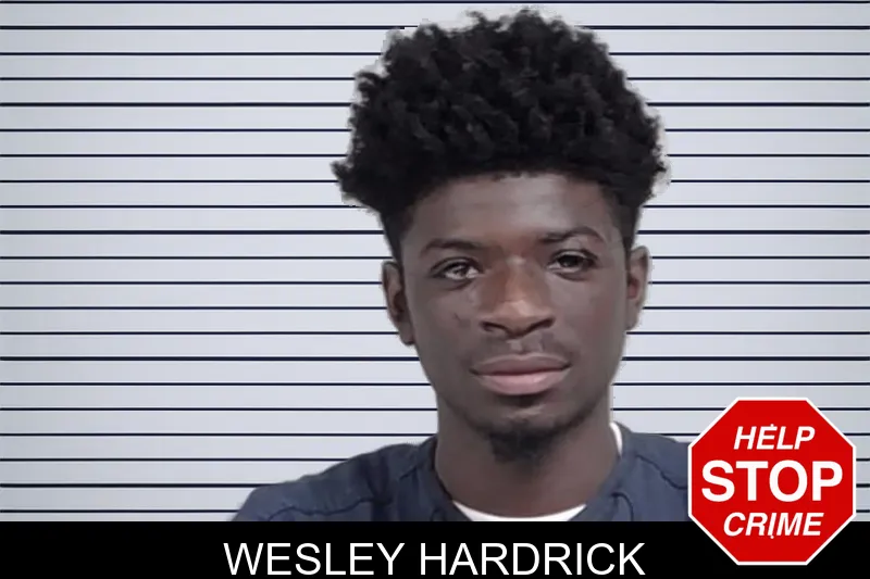 Wesley Hardrick mugshot – Lowndes County , Georgia Wesley Hardrick mugshot