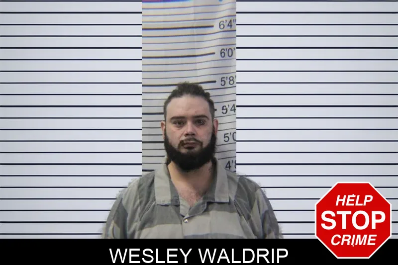 Wesley Waldrip mugshot