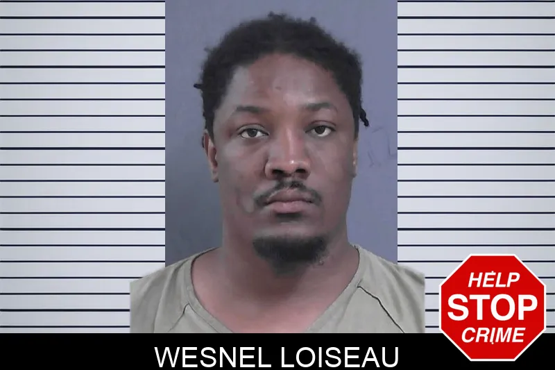 Wesnel Loiseau mugshot