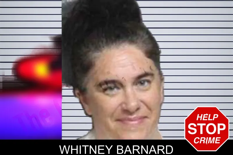 Whitney Barnard mugshot – Bacon County , Georgia Whitney Barnard mugshot