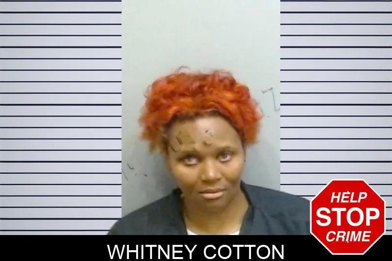 Whitney Cotton mugshot