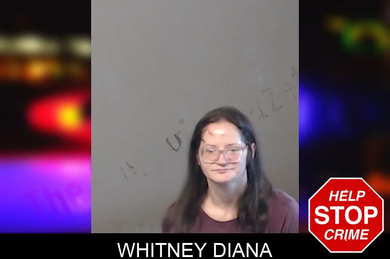 Whitney Diana mugshot