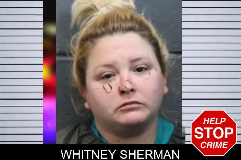 Whitney Sherman mugshot – Forsyth County , Georgia Whitney Sherman mugshot