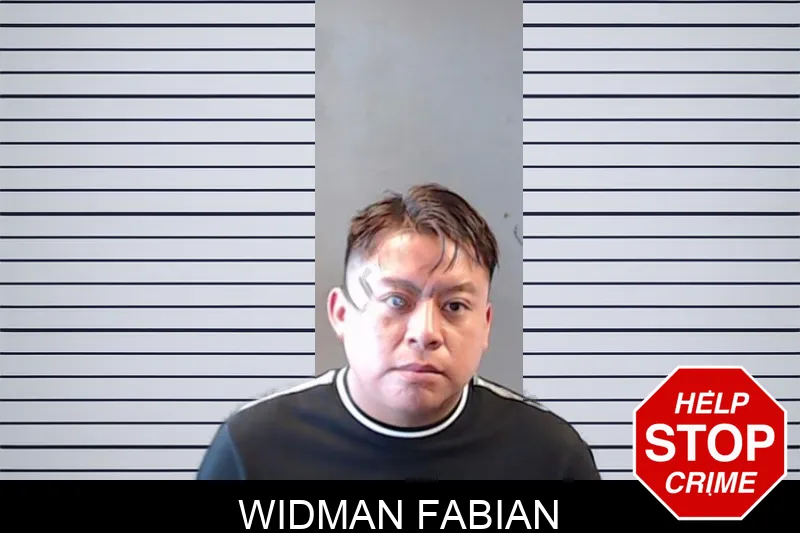 Widman Fabian mugshot