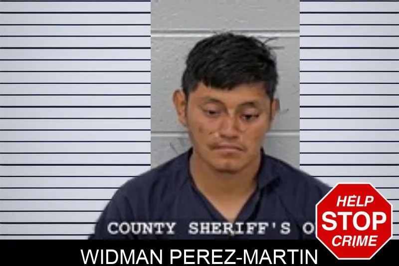 Widman Perez-Martin mugshot