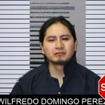 Wilfredo Domingo Perez mugshot