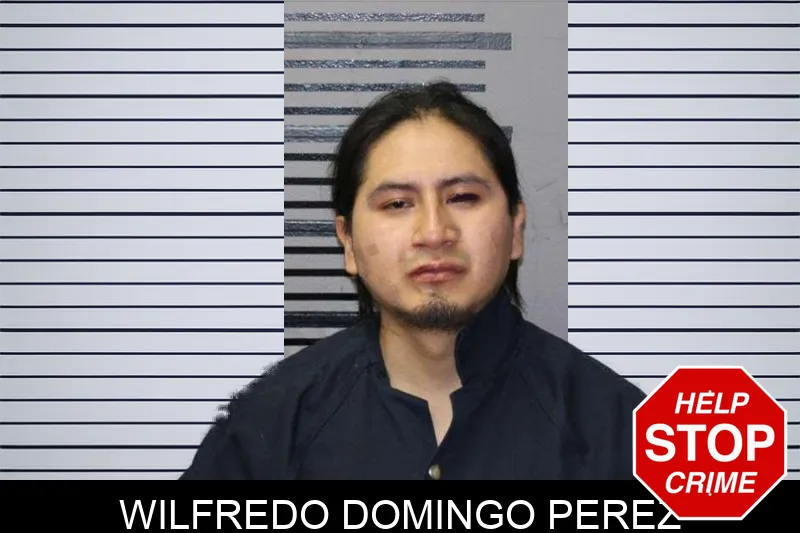 Wilfredo Domingo Perez mugshot