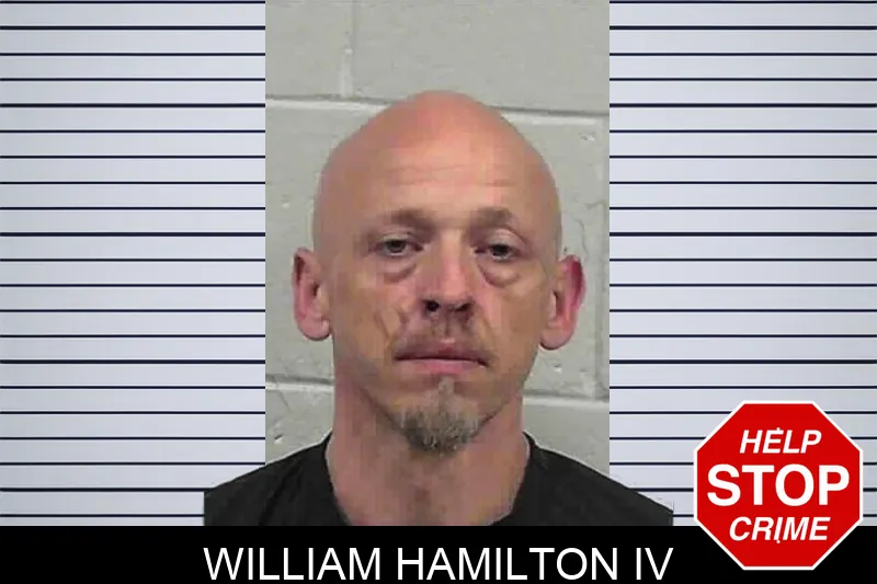 William Hamilton IV mugshot