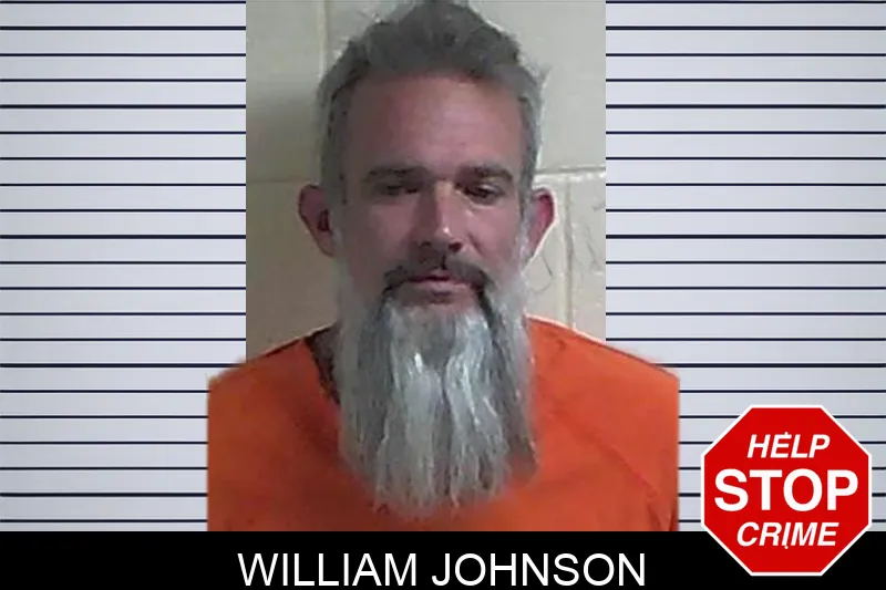 William Johnson mugshot – Fannin County , Georgia William Johnson mugshot