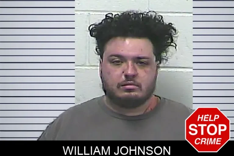 William Johnson mugshot – Emanuel County , Georgia William Johnson