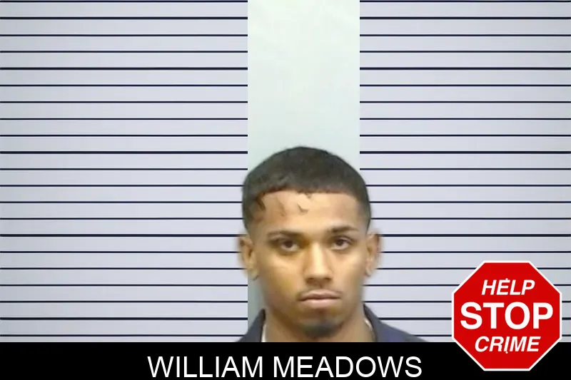 William Meadows mugshot – Fulton County , Georgia William Meadows mugshot
