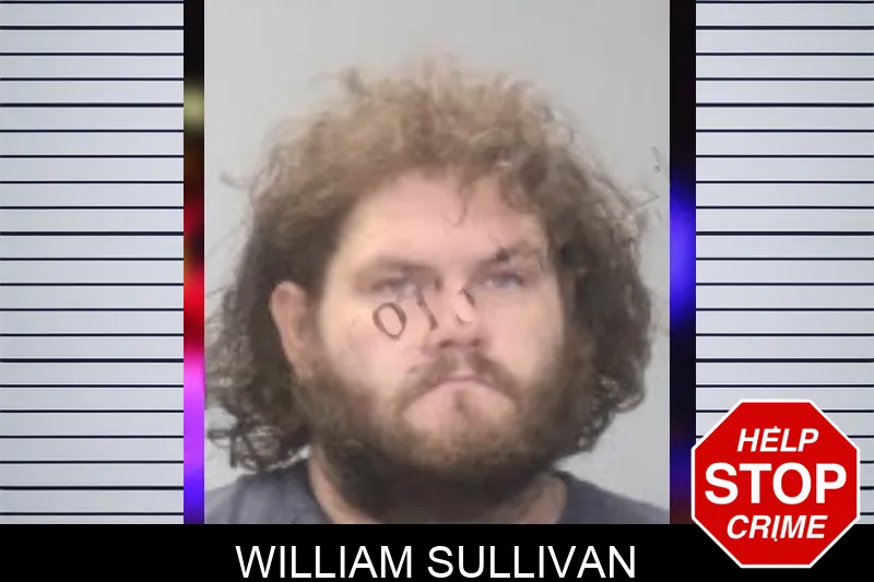 William Sullivan mugshot