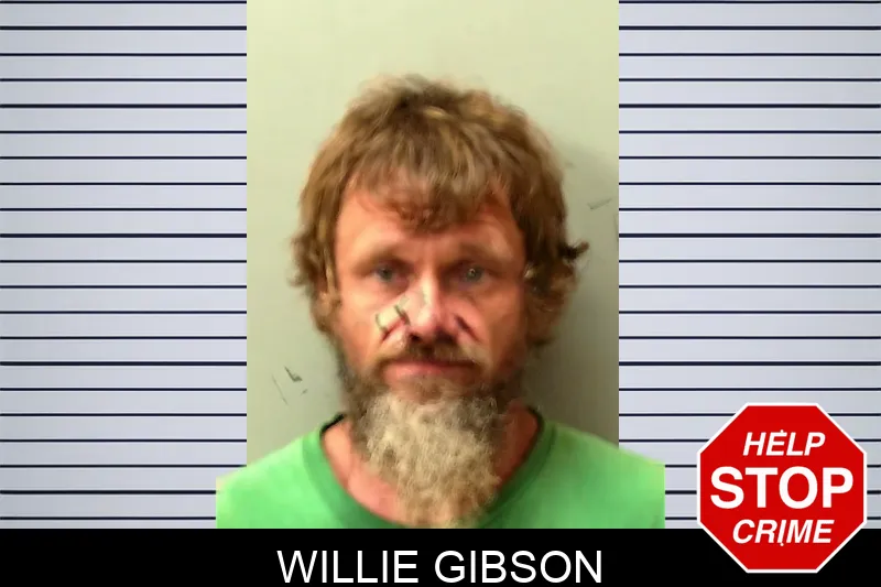 Willie Gibson mugshot