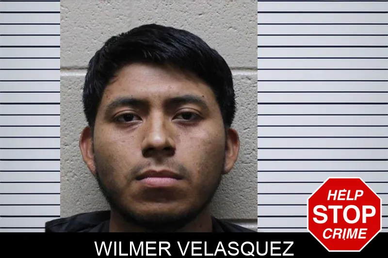 Wilmer Velasquez mugshot