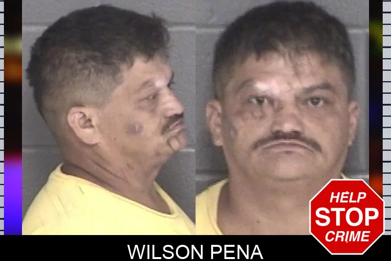 Wilson Pena mugshot