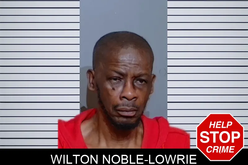 Wilton Noble-Lowrie mugshot – Glynn County , Georgia Wilton Noble-Lowrie mugshot