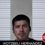 Wotzbeli Hernandez mugshot