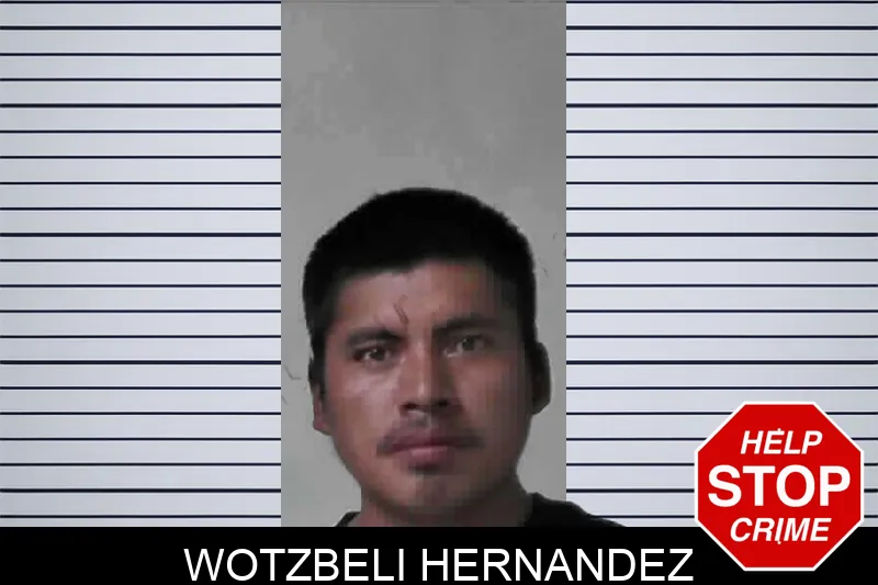 Wotzbeli Hernandez mugshot
