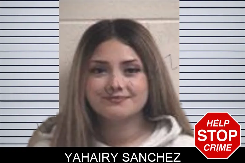 Yahairy Sanchez mugshot