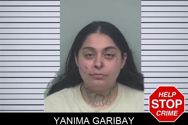 Yanima Garibay mugshot – Gwinnett County , Georgia Yanima Garibay mugshot