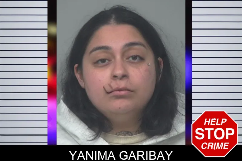 Yanima Garibay mugshot – Gwinnett County , Georgia Yanima Garibay mugshot
