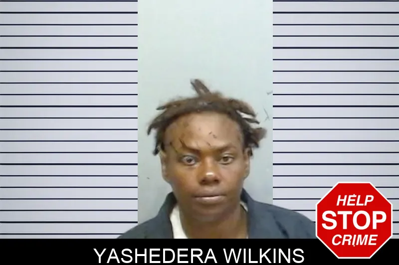 Yashedera Wilkins mugshot