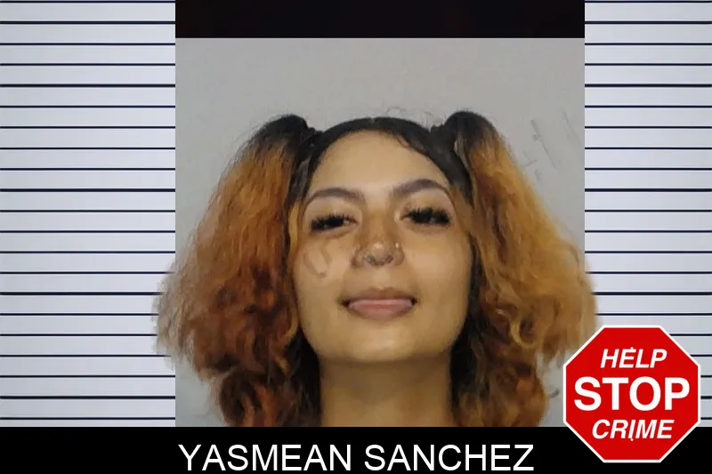 Yasmean Sanchez mugshot