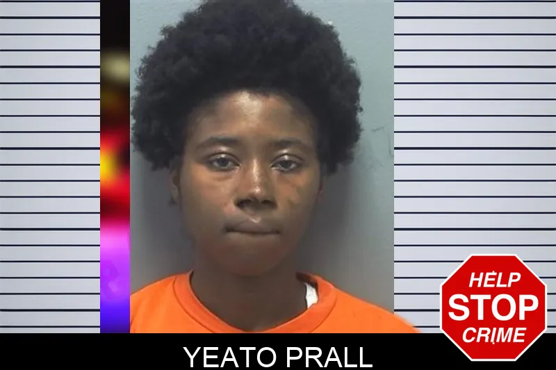 Yeato Prall mugshot – Cherokee County , Georgia Yeato Prall mugshot