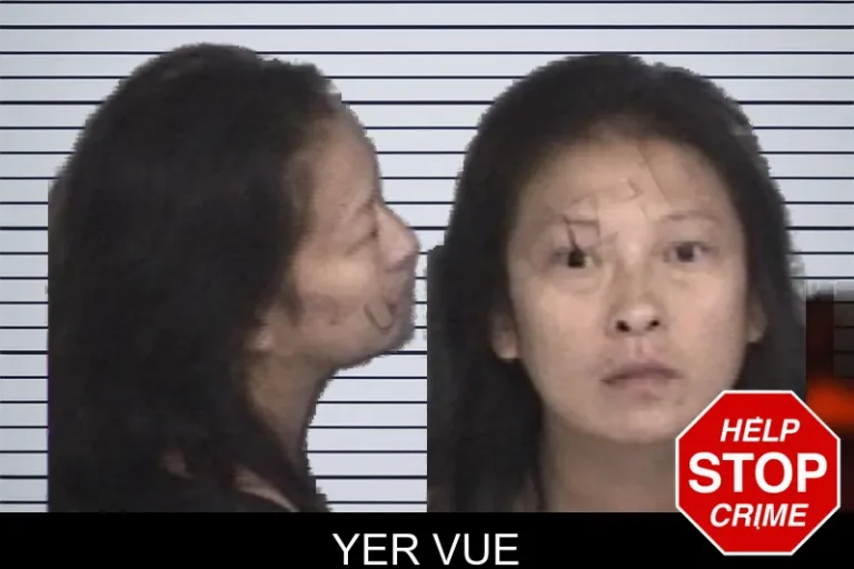 Yer Vue mugshot – Barrow County , Georgia Yer Vue