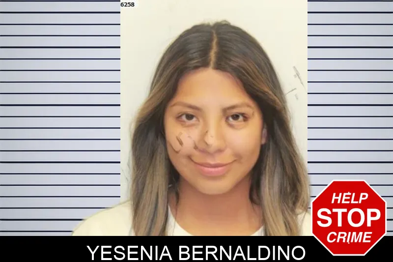 Yesenia Bernaldino mugshot
