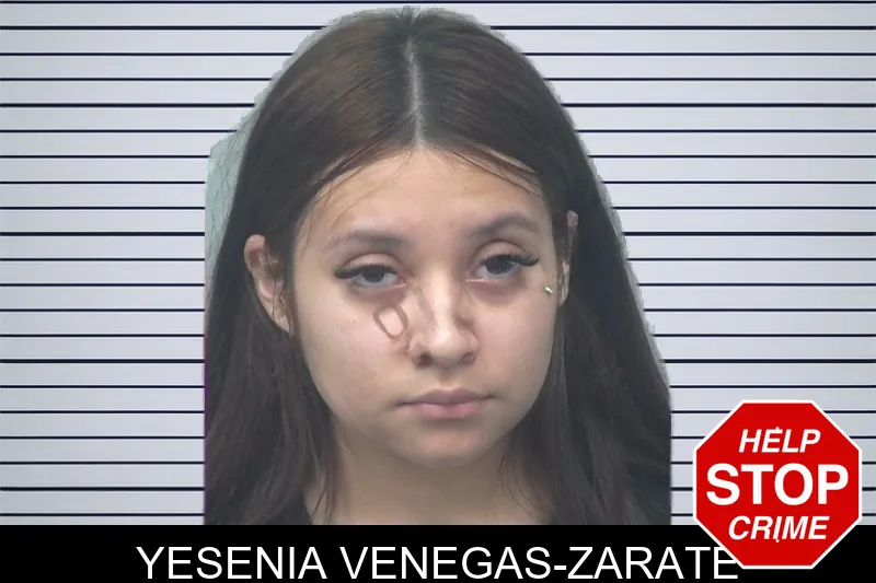 Yesenia Venegas-Zarate mugshot