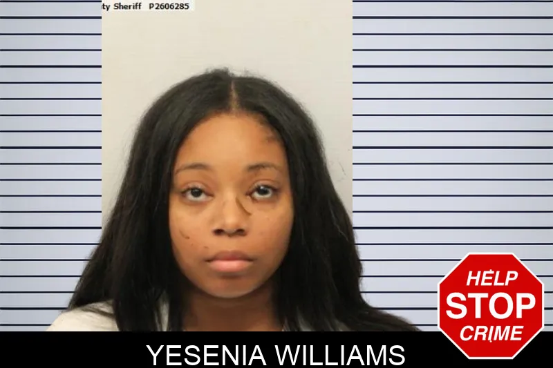 Yesenia Williams mugshot