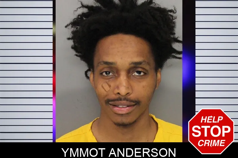 Ymmot Anderson mugshot